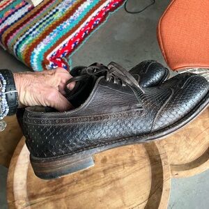 Dolce & Gabbana Brown and Black Snakeskin and Cowhide  Men's Derby Shoes